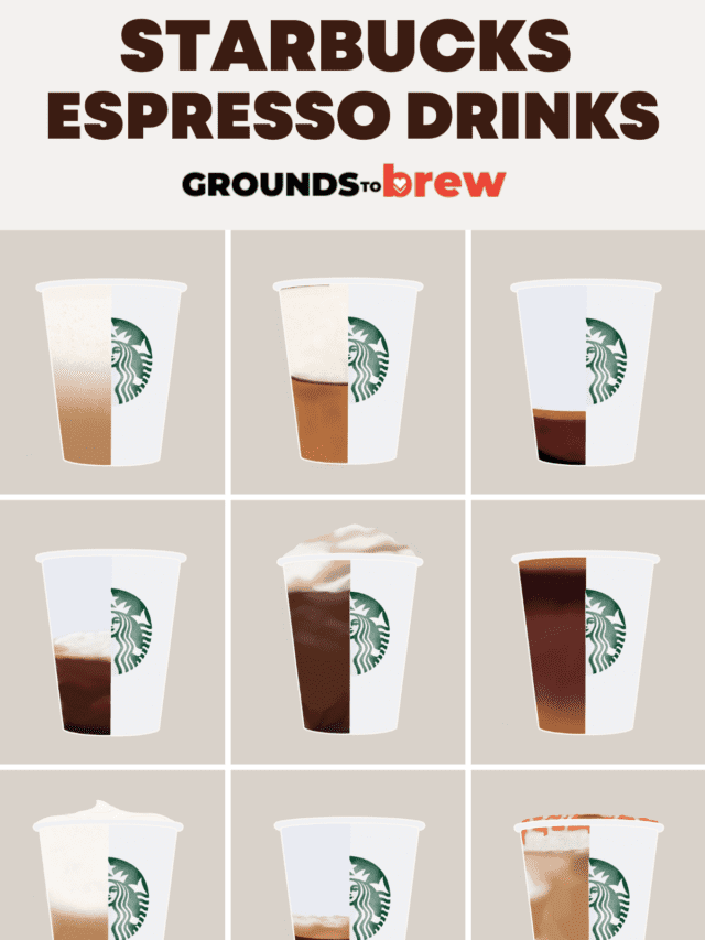 Starbucks Espresso Drinks