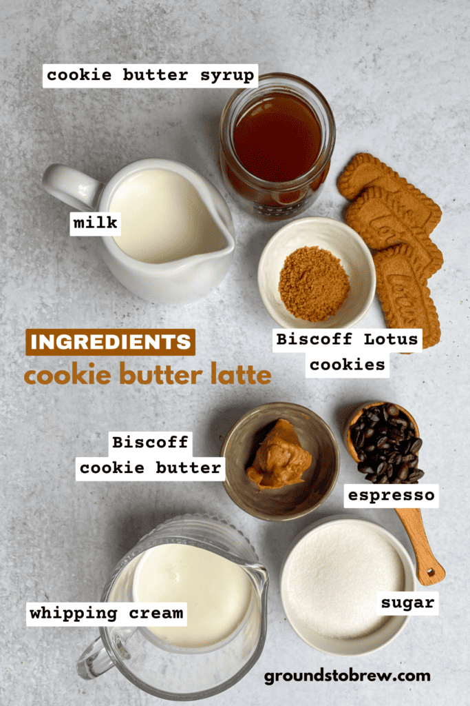 All the ingredients needed to make this cookie butter latte recipe.